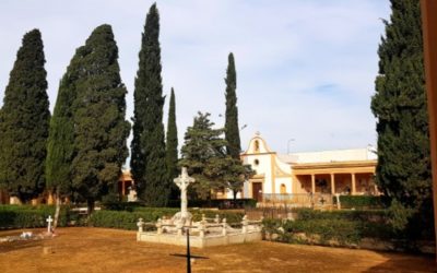Els bisbes parlen de la solemnitat de Tots Sants i la commemoració de tots els fidels difunts