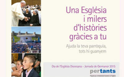 Domingo 15 de noviembre, Día de la Iglesia Diocesana