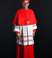 Mons. Juan José Omella, nuevo Cardenal