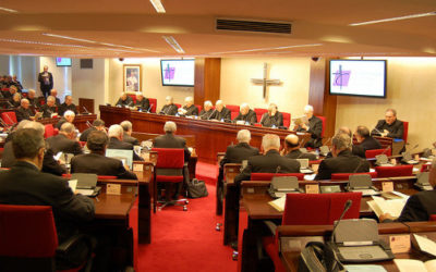 111ª reunión de la Asamblea Plenaria de la Conferencia Episcopal Española
