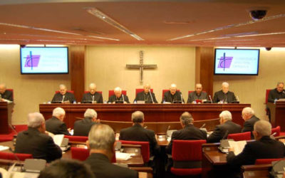Assemblea Plenària de la Conferència Episcopal Espanyola