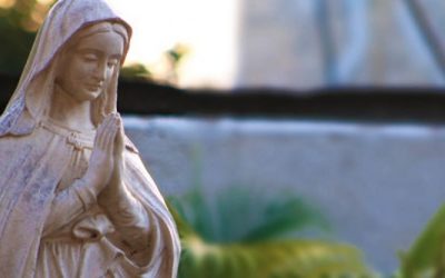 Els bisbes parlen de la devoció a la Mare de Déu