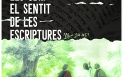 Els bisbes parlen del Diumenge de la Paraula