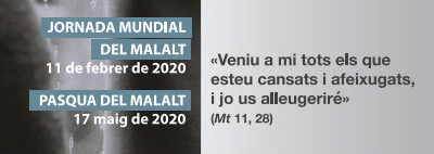 Els bisbes parlen de la Jornada Mundial del Malalt i del Congrés de Laics