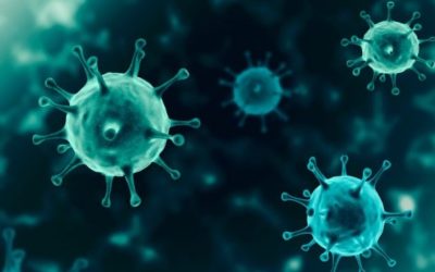 Els bisbes parlen de la pandèmia pel coronavirus