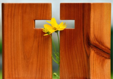 Els bisbes parlen de la Pasqua en temps de pandèmia