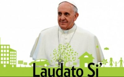Compromís amb una ecologia integral. 5 anys de Laudato si’