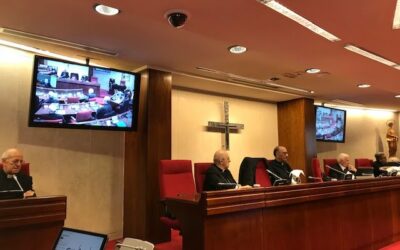 Nota i roda de premsa de la Comissió Permanent de la CEE