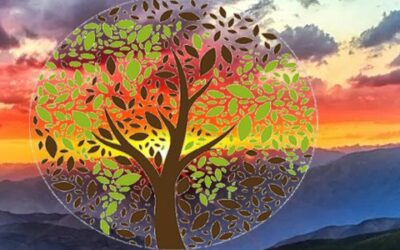 Els bisbes parlen de la casa comuna