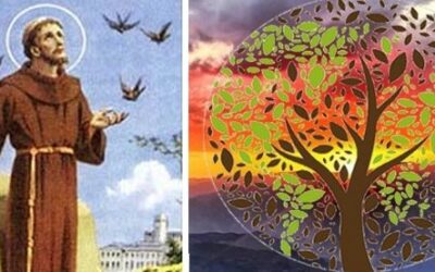 Els bisbes parlen de sant Francesc d’Assís i del Temps de la Creació