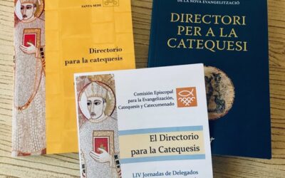 Jornada de Delegats Diocesans de Catequesi