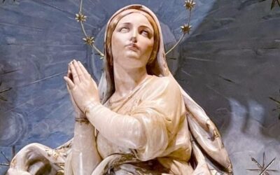 Els bisbes parlen de la solemnitat de la Immaculada Concepció de la benaurada Verge Maria