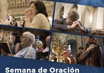 Orar por la unidad, orar por el sínodo