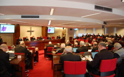Nota final de la 119ª Asamblea Plenaria de la CEE