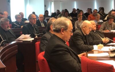 Preparación a nivel de CEE de la Asamblea continental del Sínodo