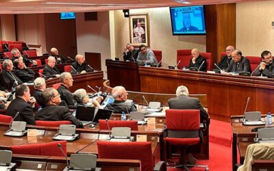 Nota final de la Asamblea Plenaria extraordinaria