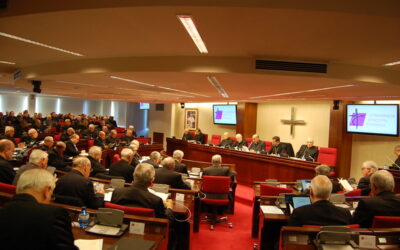 Mensaje de la Asamblea Plenaria de la CEE al Pueblo de Dios: «Enviados a acoger, sanar y reconstruir» (Cf. Jer, 33,6-7)