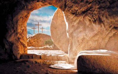 Els bisbes parlen de la Pasqua de la Resurrecció del Senyor
