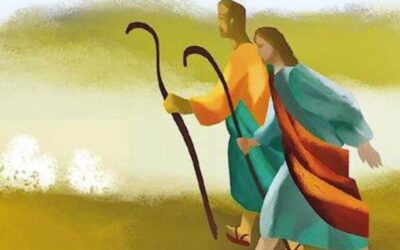 Els bisbes parlen de ser enviats de dos en dos a evangelitzar