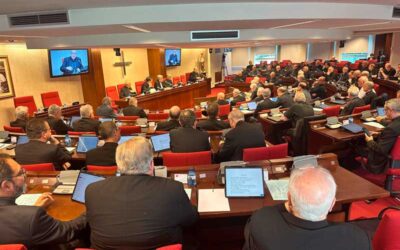 Nota final de la Asamblea Plenaria extraordinaria de la CEE