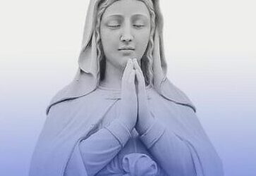 Els bisbes parlen de la solemnitat de la Immaculada Concepció de la Benaurada Verge Maria