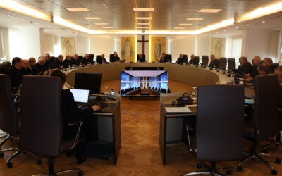 Nota de premsa de la 274a reunió de la Comissió Permanent de la CEE
