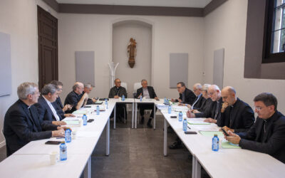 Comunicat de la reunió n. 264 de la CET